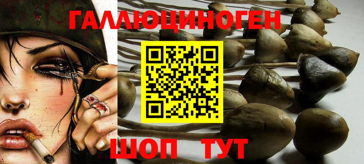 Псилоцибиновые грибы Magic Shrooms Изобильный