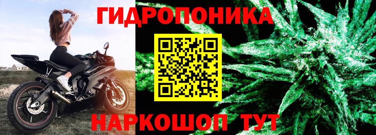 Канабис AK-47  Конопля индика  Марихуана тримм  Вход с VPN  Бошки марихуана конопля  Изобильный 